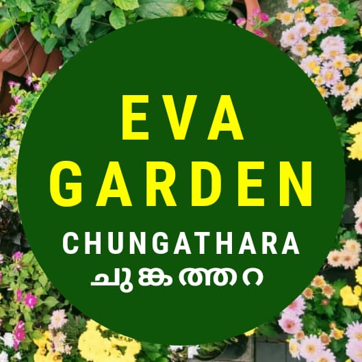 Eva Garden Chungathara